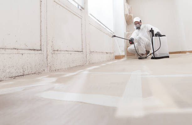 Black mold remediation team in Skillman
